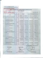 Báo cáo KQKD quý 4 năm 2010 - Công ty Cổ phần Chiếu xạ An Phú