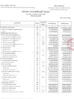 Báo cáo tài chính công ty mẹ quý 1 năm 2016 - Công ty Cổ phần Nam Việt
