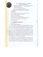 Báo cáo thường niên năm 2012 - Công ty Cổ phần Khai thác và Chế biến Khoáng sản Bắc Giang