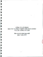 Báo cáo tài chính hợp nhất quý 1 năm 2011 - Công ty Cổ phần Đầu tư và Phát triển Nhà đất COTEC