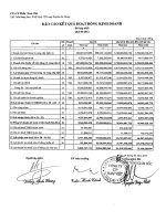 Báo cáo tài chính hợp nhất quý 4 năm 2012 - Công ty Cổ phần Nam Việt