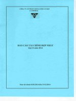 Báo cáo tài chính hợp nhất quý 2 năm 2014 - Công ty Cổ phần Chế biến và Xuất nhập khẩu Thuỷ sản Cà Mau