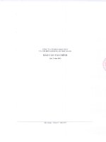 Báo cáo tài chính quý 2 năm 2013 - Công ty Cổ phần Khai thác và Chế biến Khoáng sản Bắc Giang