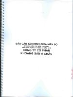 Báo cáo tài chính quý 2 năm 2015 (đã soát xét) - Công ty cổ phần Khoáng sản Á Châu