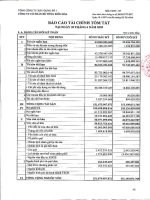 Báo cáo tài chính quý 2 năm 2009 - Công ty Cổ phần Bê tông Biên Hòa