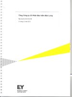 Báo cáo tài chính năm 2013 (đã kiểm toán) - Tổng CTCP Bảo hiểm Bảo Long