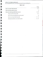 Báo cáo tài chính hợp nhất quý 2 năm 2011 (đã soát xét) - Công ty Cổ phần Đầu tư Alphanam