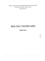 Báo cáo thường niên năm 2013 - Công ty cổ phần Thực phẩm Nông sản Xuất khẩu Sài Gòn