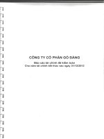 Báo cáo tài chính công ty mẹ năm 2012 (đã kiểm toán) - Công ty Cổ phần Gò Đàng