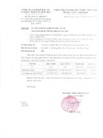 Báo cáo tài chính quý 1 năm 2015 - Công ty cổ phần Đầu tư và Phát triển Công nghiệp Bảo Thư