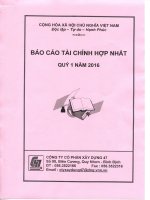 Báo cáo tài chính hợp nhất quý 1 năm 2016 - Công ty Cổ phần Xây dựng 47