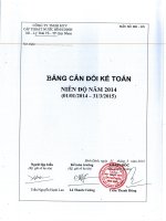 Báo cáo tài chính năm 2014 - Công ty cổ phần Cấp thoát nước Bình Định