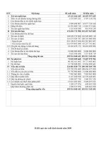 Báo cáo tài chính năm 2009 - Công ty Cổ phần Bia Hà Nội - Hải Phòng