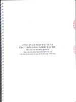 Báo cáo tài chính hợp nhất quý 2 năm 2015 (đã soát xét) - Công ty cổ phần Đầu tư và Phát triển Công nghiệp Bảo Thư