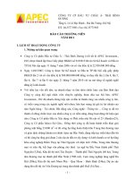 Báo cáo thường niên năm 2011 - Công ty Cổ phần Đầu tư Châu Á - Thái Bình Dương