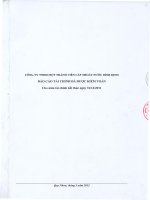 Báo cáo tài chính năm 2011 (đã kiểm toán) - Công ty cổ phần Cấp thoát nước Bình Định