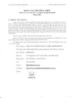 Báo cáo thường niên năm 2013 - Công ty Cổ phần Sách và Thiết bị Bình Định