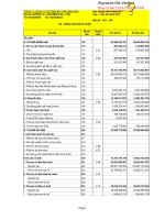 Báo cáo tài chính hợp nhất quý 1 năm 2013 - Công ty Cổ phần Bê tông Biên Hòa