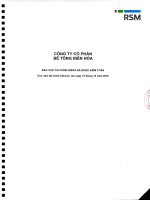 Báo cáo tài chính công ty mẹ năm 2015 (đã kiểm toán) - Công ty Cổ phần Bê tông Biên Hòa