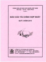 Báo cáo tài chính hợp nhất quý 2 năm 2015 - Công ty Cổ phần Xây dựng 47