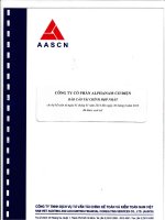Báo cáo tài chính hợp nhất quý 2 năm 2013 (đã soát xét) - Công ty Cổ phần Alphanam E&C