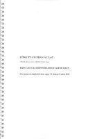 Báo cáo tài chính năm 2011 (đã kiểm toán) - CTCP Âu Lạc