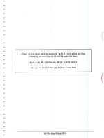 Báo cáo tài chính năm 2010 (đã kiểm toán) - Công ty Cổ phần Chứng khoán Châu Á – Thái Bình Dương