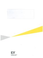 Báo cáo tài chính quý 2 năm 2014 (đã soát xét) - Công ty cổ phần Xi măng Vicem Bút Sơn