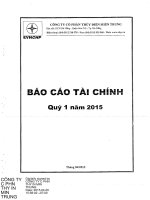Báo cáo tài chính quý 1 năm 2015 - Công ty Cổ phần Thủy điện miền Trung