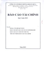 Báo cáo tài chính quý 1 năm 2013 - Công ty Cổ phần Chứng khoán BETA