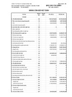Báo cáo tài chính quý 1 năm 2011 - Công ty Cổ phần Đầu tư Xây dựng Bạch Đằng TMC