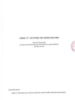 Báo cáo tài chính hợp nhất quý 2 năm 2015 (đã soát xét) - Công ty Cổ phần Tập đoàn Sao Mai