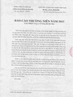 Báo cáo thường niên năm 2015 - Công ty Cổ phần Sông Đà Hà Nội