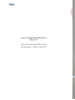 Báo cáo tài chính hợp nhất năm 2012 (đã kiểm toán) - Công ty Cổ phần Đường Biên Hoà