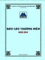 Báo cáo thường niên năm 2014 - Công ty cổ phần Khoáng sản Bình Định
