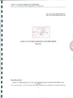 Báo cáo tài chính năm 2013 (đã kiểm toán) - Công ty cổ phần Khoáng sản Bình Định