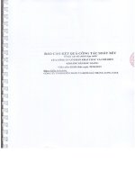 Báo cáo tài chính hợp nhất quý 2 năm 2015 (đã soát xét) - Công ty Cổ phần Khai thác và Chế biến Khoáng sản Bắc Giang