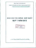 Báo cáo tài chính hợp nhất quý 1 năm 2012 - Công ty Cổ phần Xây dựng và Kinh doanh Vật tư