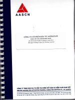 Báo cáo tài chính hợp nhất quý 2 năm 2013 (đã soát xét) - Công ty Cổ phần Đầu tư Alphanam