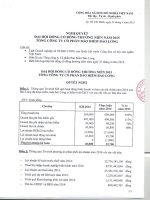 Nghị quyết Đại hội cổ đông thường niên năm 2015 - Tổng CTCP Bảo hiểm Bảo Long