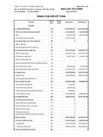 Báo cáo tài chính quý 2 năm 2011 - Công ty Cổ phần Đầu tư Xây dựng Bạch Đằng TMC