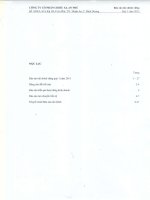 Báo cáo tài chính công ty mẹ quý 1 năm 2015 - Công ty Cổ phần Chiếu xạ An Phú