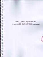 Báo cáo tài chính hợp nhất năm 2011 (đã kiểm toán) - Công ty Cổ phần Alphanam E&C