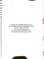 Báo cáo tài chính hợp nhất năm 2015 (đã kiểm toán) - Công ty cổ phần Đầu tư và Phát triển Công nghiệp Bảo Thư