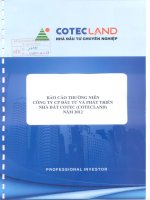 Báo cáo thường niên năm 2012 - Công ty Cổ phần Đầu tư và Phát triển Nhà đất COTEC