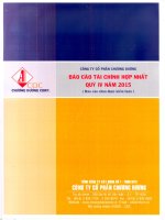 Báo cáo tài chính hợp nhất quý 4 năm 2015 - Công ty Cổ phần Chương Dương