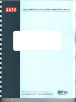 Báo cáo tài chính năm 2015 (đã kiểm toán) - Công ty Cổ phần Sơn Á Đông