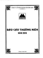 Báo cáo thường niên năm 2013 - Công ty cổ phần Khoáng sản Bình Định