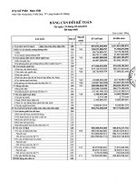 Báo cáo tài chính hợp nhất quý 1 năm 2011 - Công ty Cổ phần Nam Việt