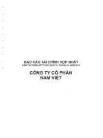 Báo cáo tài chính hợp nhất năm 2012 (đã kiểm toán) - Công ty Cổ phần Nam Việt